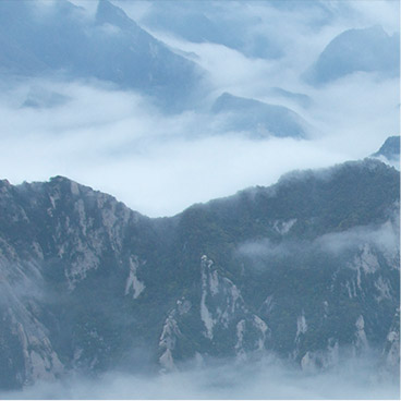 轰炸手机号在线使用